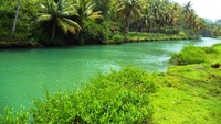 air sungai nampak hijau dan jernih