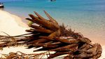 Jenuh Hidup di Perkotaan, Cobalah Datang ke Derawan