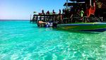 Jenuh Hidup di Perkotaan, Cobalah Datang ke Derawan