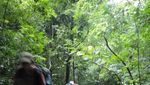 Jerih Payah ke Pulau Sempu