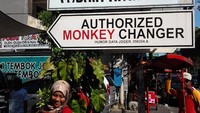 authorized monkey changer