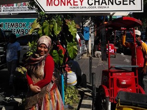 Joger, Oleh-oleh Khas Bali yang Lucu & Unik