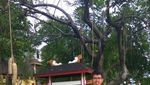 Jogging Sambil Lihat Sunrise di Utara Jakarta