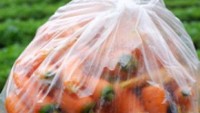 Bila beruntung kita bisa membeli wortel segar hasil panen ini seharga Rp 40.000 per 1 plastik besar ini.