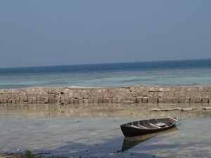 Kacau, Tidung Mulai Tercemar Sampah!