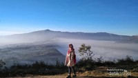 Kabut menyelimuti Desa Cemoro Lawang