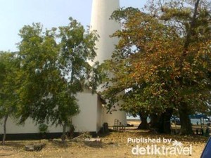 Kalian Harus Datang ke Pantai Tanjung Kalian!
