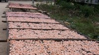 Kemplang cumi dan udang yang lagi dijemur