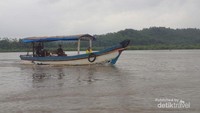 Asiknya berperahu di Segara anakan kampung laut