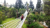 High Rope