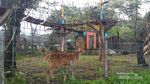 Kampung Pandu, Alternatif Wisata Baru di Bogor