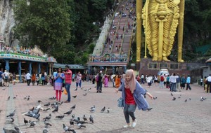 Kamu Bisa Bersama Burung di Gua Ini