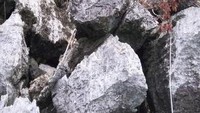 Batuan karst yang tajam harus kita lalui untuk naik ke Bukit Sombori
