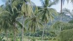Kamu yang Suka Naik Sepeda, Sudah Pernah ke Nanggulan?