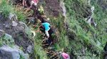Kangen Gunung Rinjani? Ini Jalur Baru Untukmu
