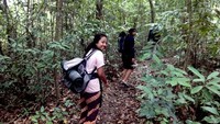 Berjalan di hutan menuju air terjun