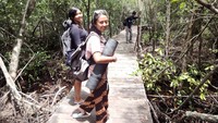 Tracking di Hutan Mangrove