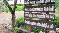 Aturan snorkeling di Karimunjawa