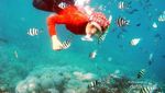 Karimunjawa Secuil Surga Nan Damai di Utara Jawa