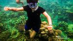Karimunjawa, Surga Bahari di Utara Jawa