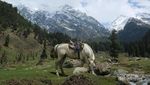 Kashmir, Pesona di Balik Pegunungan Himalaya