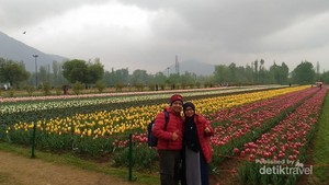 Kashmir, Pesona di Balik Pegunungan Himalaya
