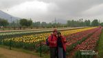 Kashmir, Pesona di Balik Pegunungan Himalaya