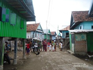 Kasihan, Kambing Makan Kertas di Pulau Bungin