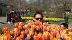 Katakan Cinta dengan Bunga Tulip di Keukenhof