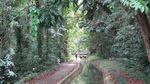 Katakan Cinta di Air Terjun Moramo, Sulawesi Tenggara