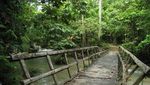 Katakan Cinta di Air Terjun Moramo, Sulawesi Tenggara