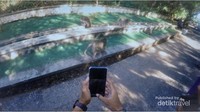 Uluwatu akan sangat kurang tanpa kehadiran monyet-monyet nakal di galeri HP kalian.