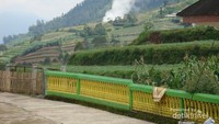 kawah de depan sekolah