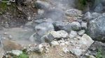 Kawah Putih Penuh, ke Kawah Cibuni Saja!