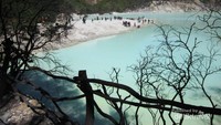 Kawah Putih Bandung