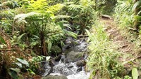 Sungai Kecil di Sepanjang Perjalanan