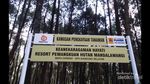 Kawasan Wisata Kamojang, Jalan-jalan Sambil Nostalgia