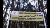 Hutan Lindung