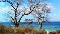 Pantai Kawona