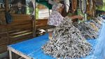 Ke Aceh Besar, Bawa Oleh-oleh Ikan Asin Ya
