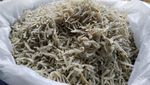 Ke Aceh Besar, Bawa Oleh-oleh Ikan Asin Ya