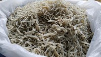 salah satu teri kecil lhok Seudu Aceh Ini