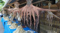 Berbagai macam ikan yang sudah di keringkan