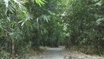 Ke Bali, Wajib Datang ke Desa Adat Panglipuran