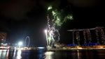 Ke Merlion Park, Nikmati Pertunjukan Laser dan Kembang Api
