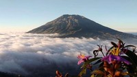 Kabut di kaki gunung Merbabu dari gunung Telomoyo