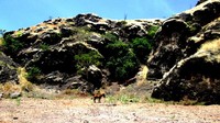 Bukit Bartu Wair Nokerua