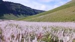Keajaiban Sunrise Bromo yang Tiada Habisnya