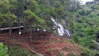 Obwis Bukit Comal menggunakan lahan pinus Perhutani