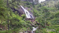 Suasana hijau di sekitar Curug Kedondong